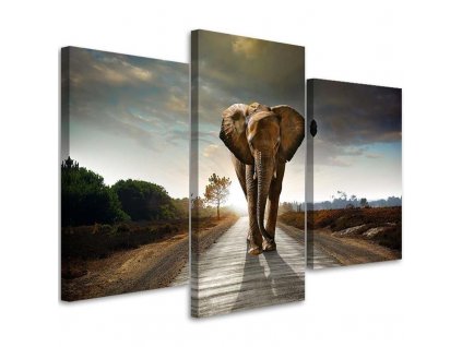 Obraz na plátně Putování slona na cestě - 3 dílný