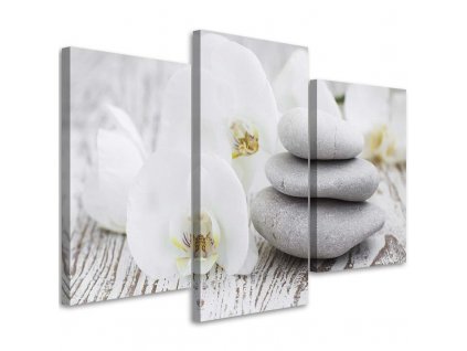 Obraz na plátně Bílá orchidej a kameny - 3 dílný