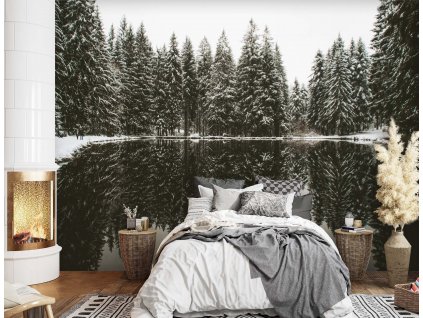 Fototapeta Jezero v lese v zimě