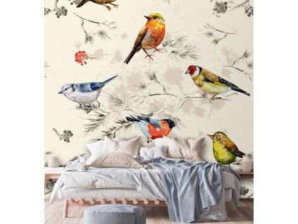 Fototapeta Barevní ptáci malovaní akvarelem
