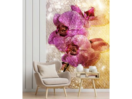 Fototapeta Fialové orchideje
