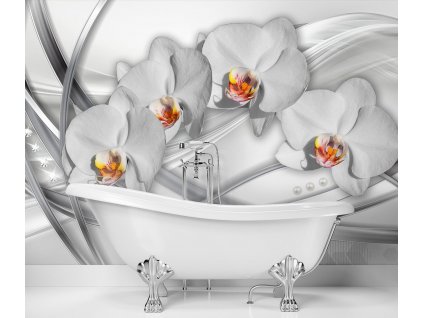 Fototapeta Abstraktní orchideje