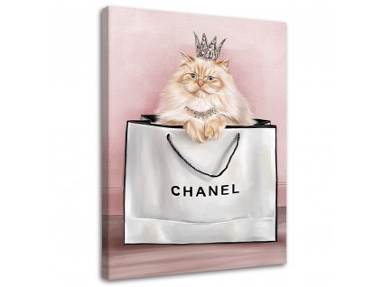 Obraz na plátně Kočka v tašce Chanel