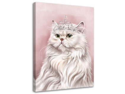 Obraz Bílá královská kočka