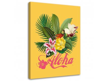 Obraz na plátně Aloha na žlutém pozadí - Andrea Haase