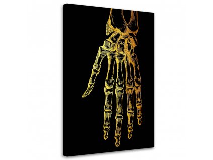 Obraz na plátně Zlatá anatomie, ruka - Gab Fernando