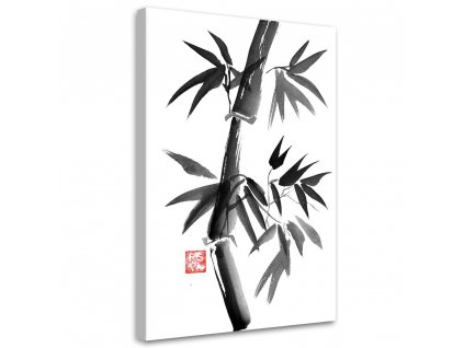 Obraz na plátně Hezký černobílý bambus - Péchane