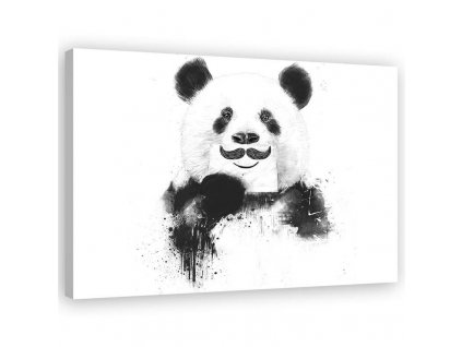 Obraz na plátně Černobílá panda - Rykker