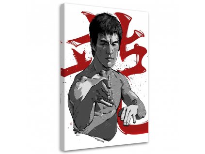 Obraz na plátně Mistr bojových umění Bruce Lee - Nikita Abakumov