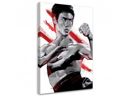 Obraz na plátně Portrét Bruce Lee - Nikita Abakumov