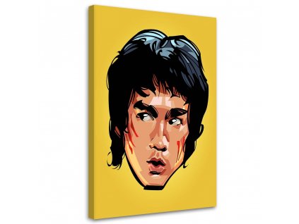Obraz na plátně Tvář Bruce Leeho - Nikita Abakumov