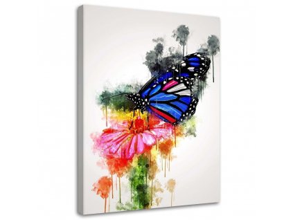 Obraz na plátně Motýl na květině - Cornel Vlad