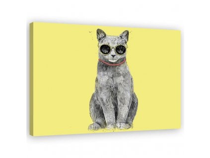 Obraz na plátně Kočka s brýlemi - Rykker