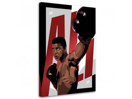 Obraz na plátně Muhammad Ali - Nikita Abakumov
