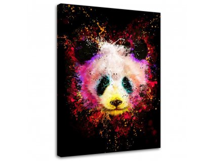Obraz na plátně Duhová panda - Dmitry Belov