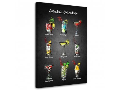 Obraz na plátně Kolekce koktejlů - Gab Fernando