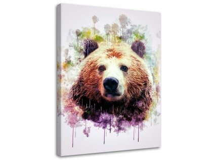 Obraz na plátně Barevná hlava medvěda - Cornel Vlad