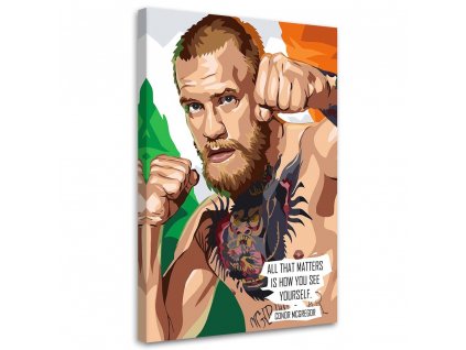 Obraz na plátně Conor McGregor - Nikita Abakumov