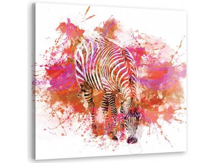 Obraz na plátně Barevně malovaná zebra - Andrea Haase