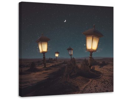 Obraz na plátně Temná poušť - Zehem Chong