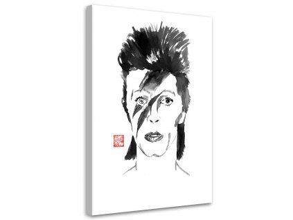 Obraz na plátně Portrét Davida Bowieho - Péchane