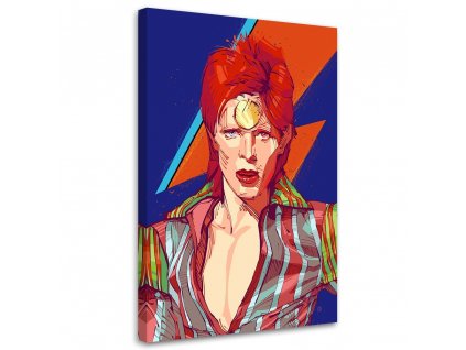 Obraz na plátně David Bowie zpěvák - Nikita Abakumov