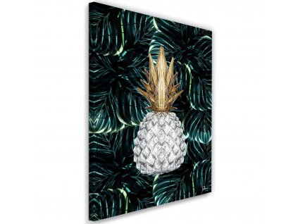 Obraz na plátně Diamantový ananas - Rubiant