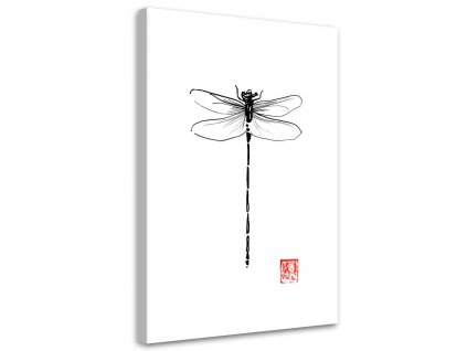 Obraz na plátně Černobílá vážka - Péchane