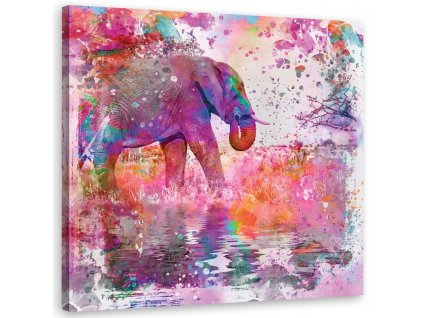 Obraz na plátně Slon mezi barvami - Andrea Haase