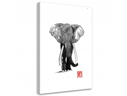 Obraz na plátně Černobílý slon - Péchane