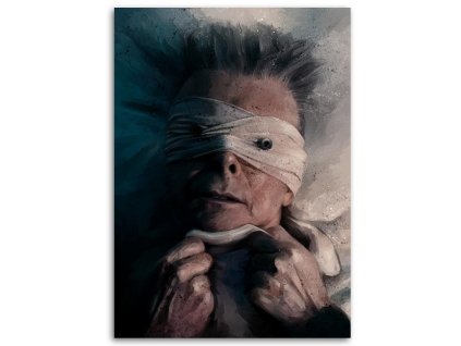 Obraz na plátně David Bowie - Dmitry Belov
