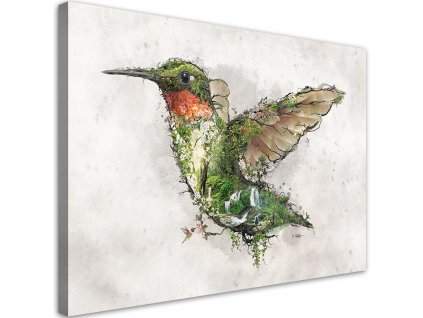 Obraz na plátně Kolibřík a kouzelný les - Barrett Biggers