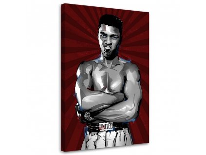 Obraz na plátně Muhammad Ali - Nikita Abakumov