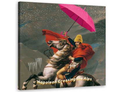 Obraz na plátně Napoleon na koni s deštníkem - Bekir Ceylan