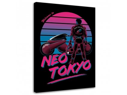Obraz na plátně Neo Tokio - DDJVigo