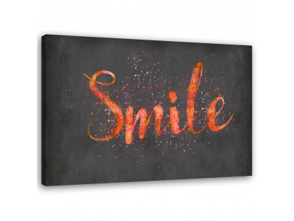 Obraz na plátně Oranžový nápis Smile - Andrea Haase