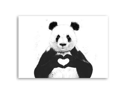 Obraz na plátně Panda se srdcem - Rykker