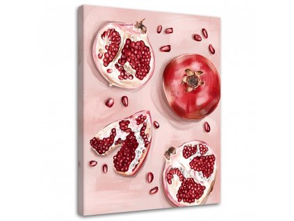 Obraz na plátně Červené plody granátového jablka - Svetlana Gracheva