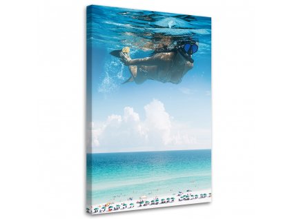 Obraz na plátně Potápění s padákem - Alex Griffith