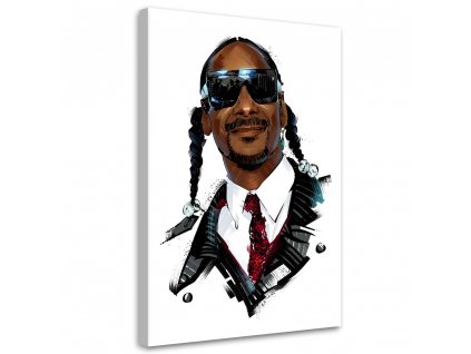 Obraz na plátně Portrét Snoop Dogga - Nikita Abakumov