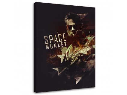 Obraz na plátně Klub rváčů, Space Monkey Brad Pitt - SyanArt