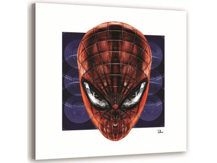 Obraz na plátně Spider-Man - Rubiant