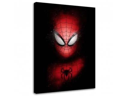 Obraz na plátně Spider-Manova hlava - DDJVigo