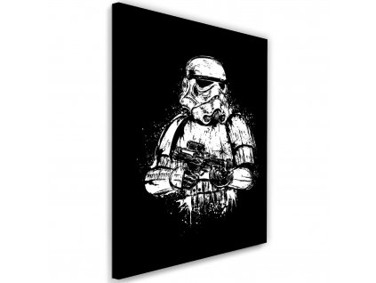Obraz na plátně Star Wars, Starship Trooper - Dr.Monekers