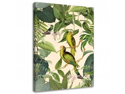 Obraz na plátně Tropičtí ptáci v džungli - Andrea Haase