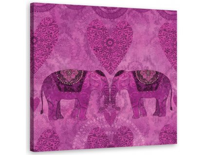 Obraz na plátně Dva růžoví sloni indičtí - Andrea Haase