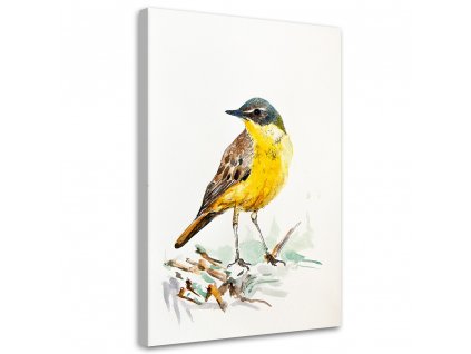 Obraz na plátně Žlutý pták - Dorota Martyńska