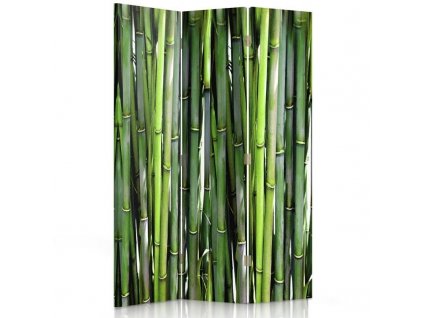 Paraván Bambus