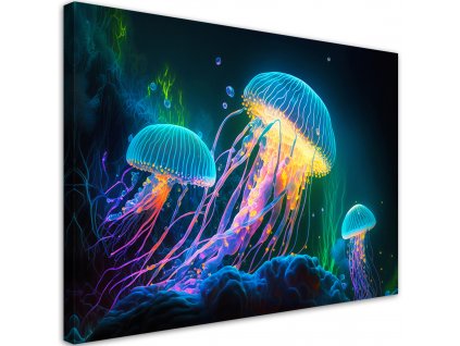 Obraz na plátně Barevné medúzy