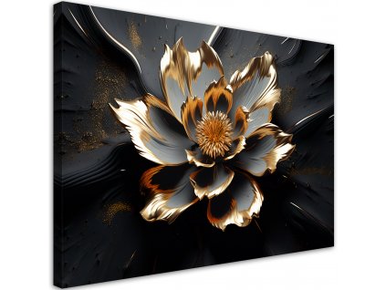 Obraz na plátně Krásný černozlatý květ